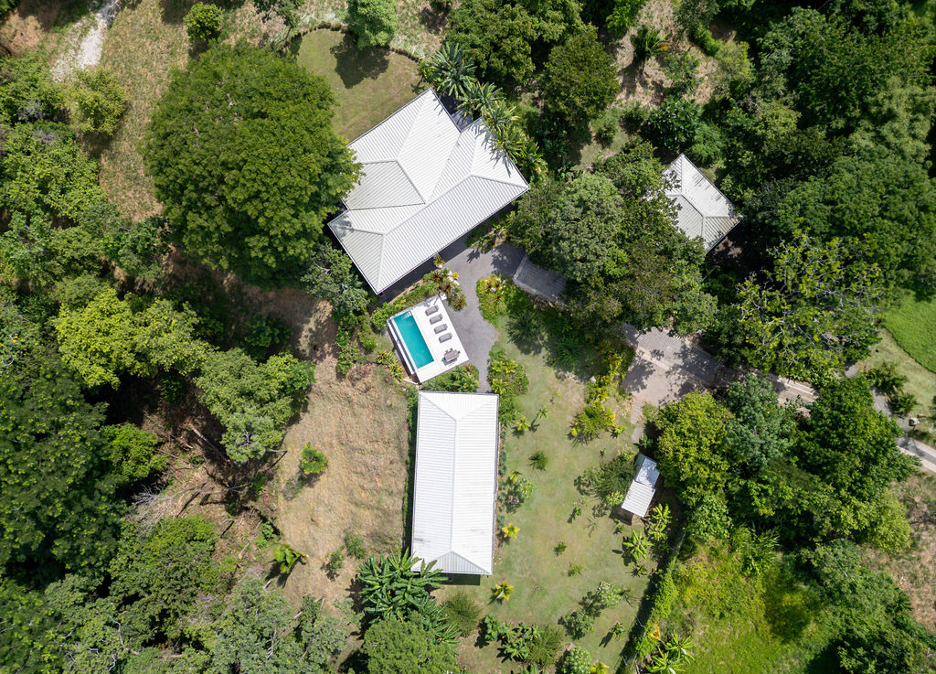 Overhead view of the three residences and infinity pool nestled within the canopy