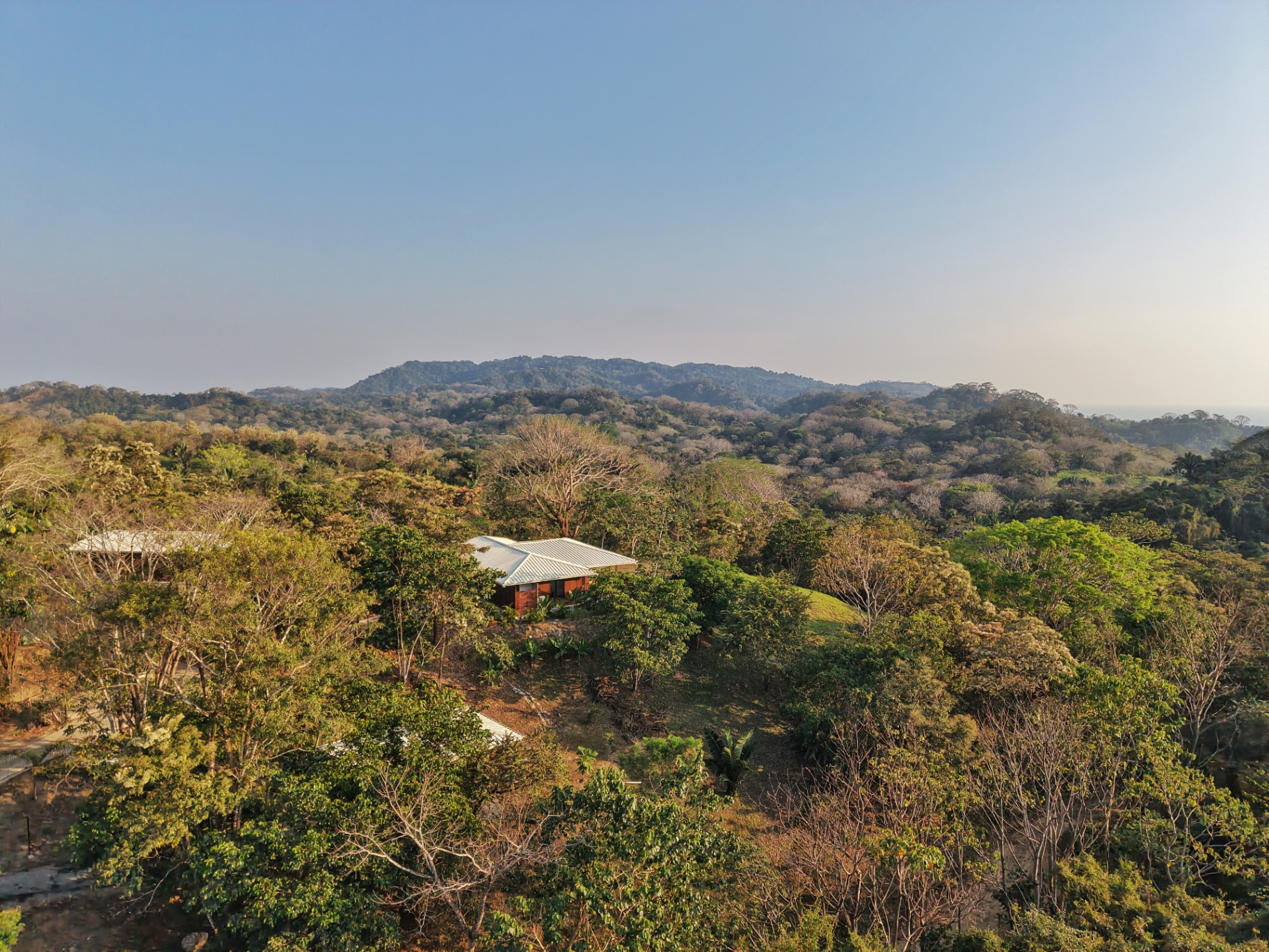 Villa Symphony nestled in the dry-forest canopy above Mal País, Pacific horizon beyond